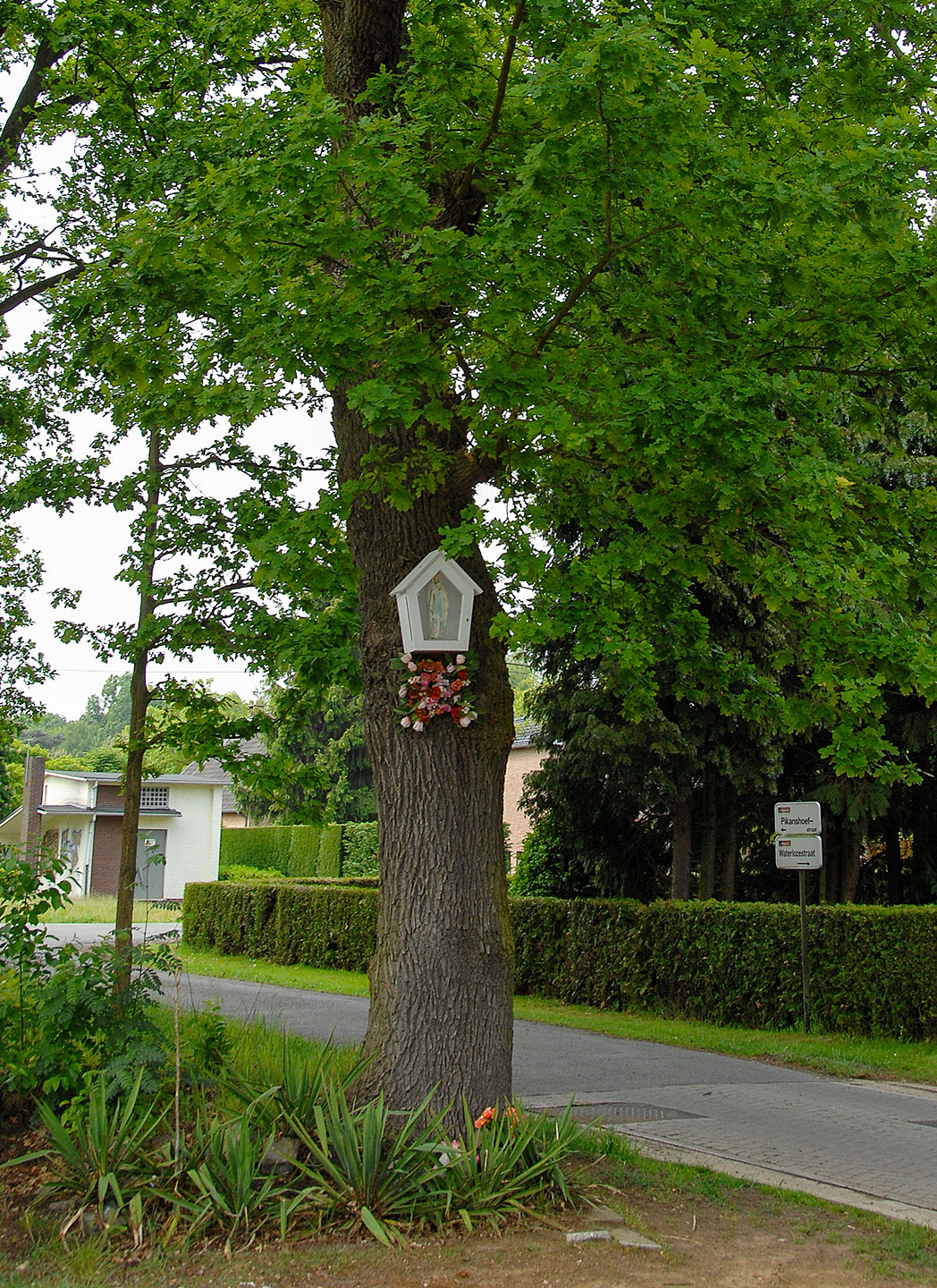 38 - Boomkapel Pikanshoeve